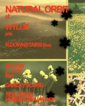 Artwork for Tide Swing on the Pier (((in dub))) with Natural Orbit, Wyllie, & r.downstairs